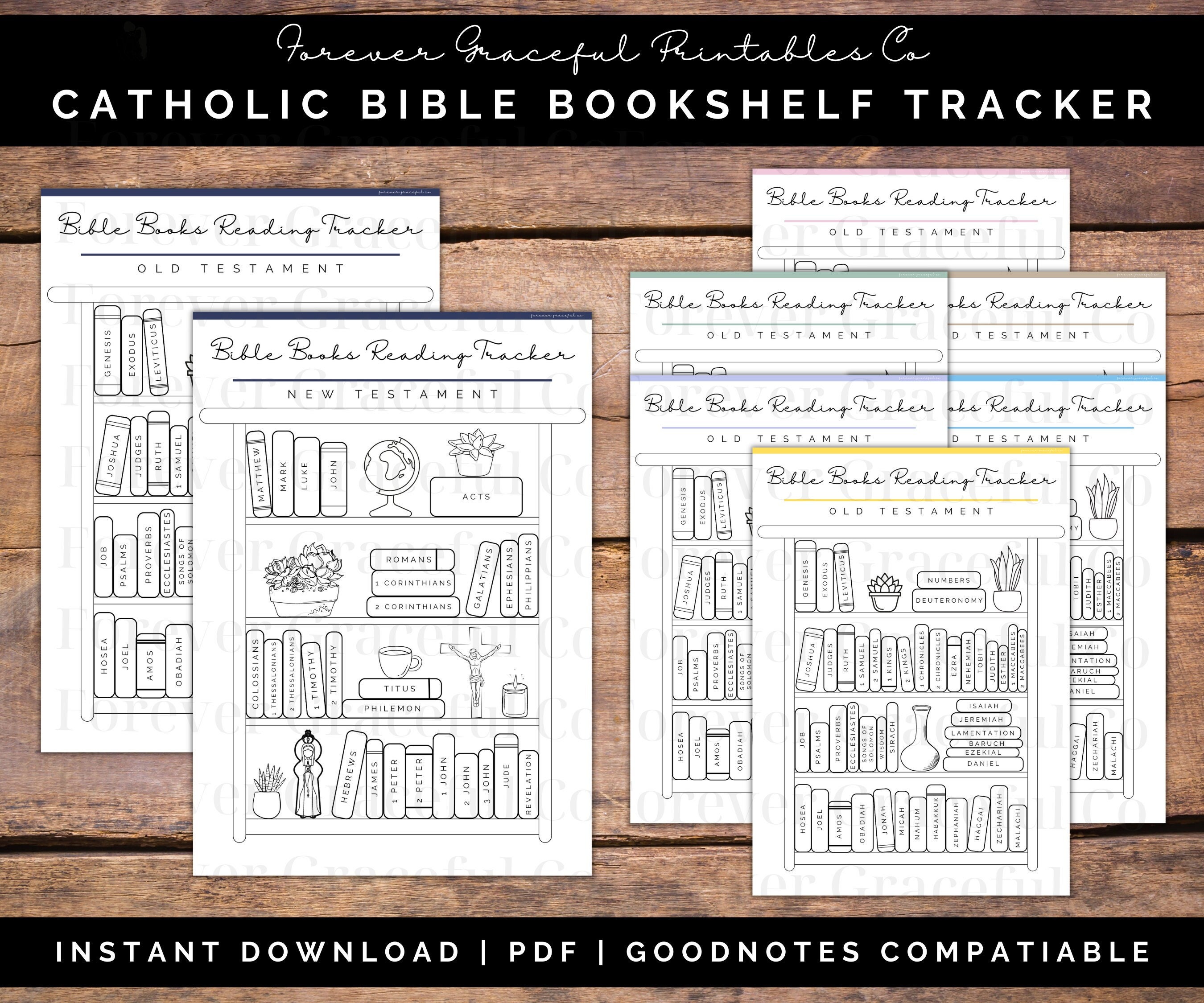 Catholic Bible Bookshelf