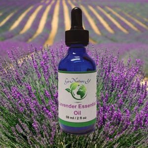 Lavender Essential Oil for Calm and Comfort
