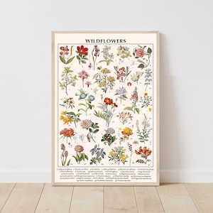 Vintage Wildflower Prints. Botanical Print Set. Wildflower Art. Vintage  Botanical Art. Wildflower Decor. Farmhouse Art. Botanical Wall Art. 