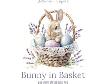 Clipart aquarel paashaas: mand met lavendel (digitale png-download)