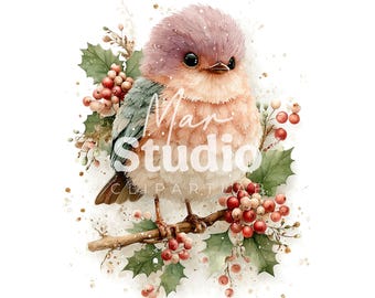 Aquarel kerstvogel clipart – feestelijke vakantie-illustraties (digitale download)
