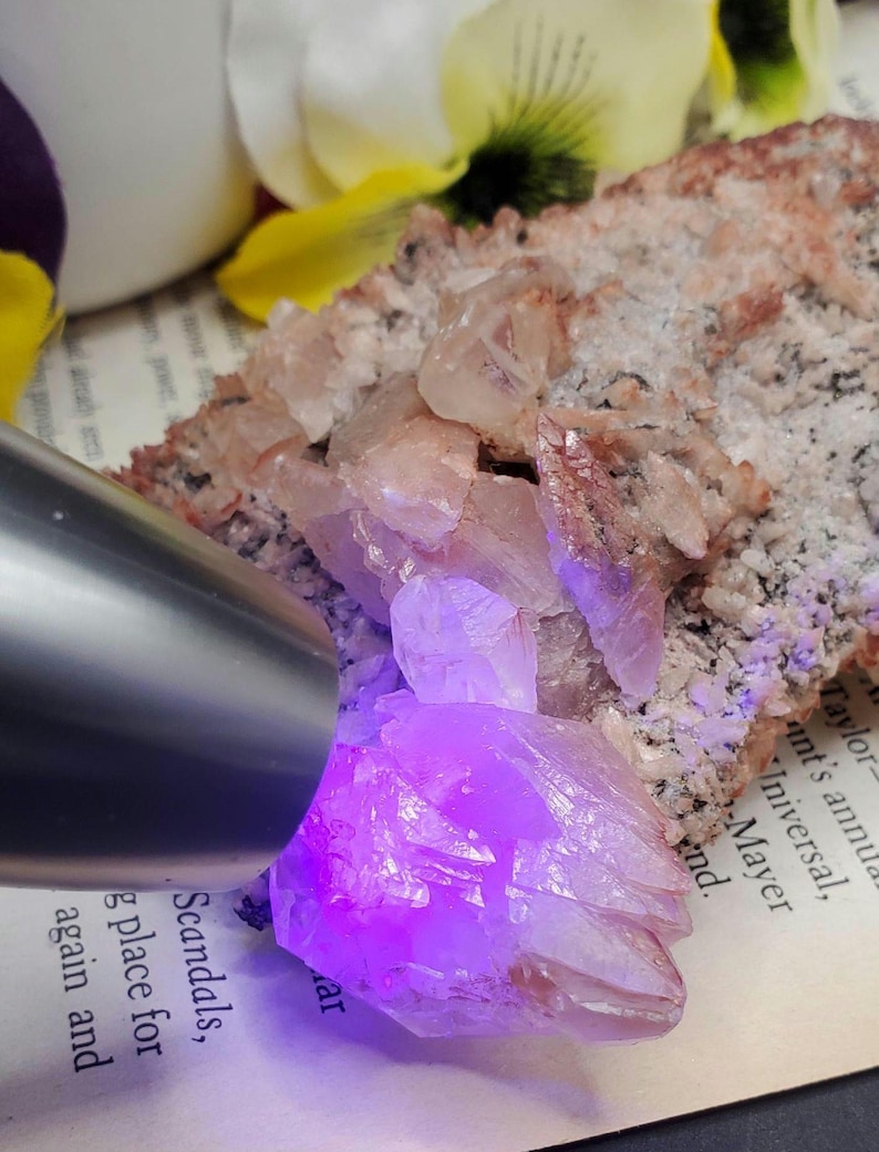 K&ouml;nnte beinhalten: Ein Cluster aus rosa und wei&szlig;en Kristallen, die von einem UV-Licht beleuchtet werden und einen leuchtend violetten Schein erzeugen. Die Kristalle sind auf einem Buch mit sichtbarem Text angeordnet.