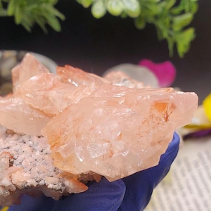 K&ouml;nnte beinhalten: Ein Cluster aus rosa und orangefarbenen Selenitkristallen mit einer rauen, nat&uuml;rlichen Textur. Die Kristalle sind durchscheinend und haben ein zartes, geschichtetes Aussehen.