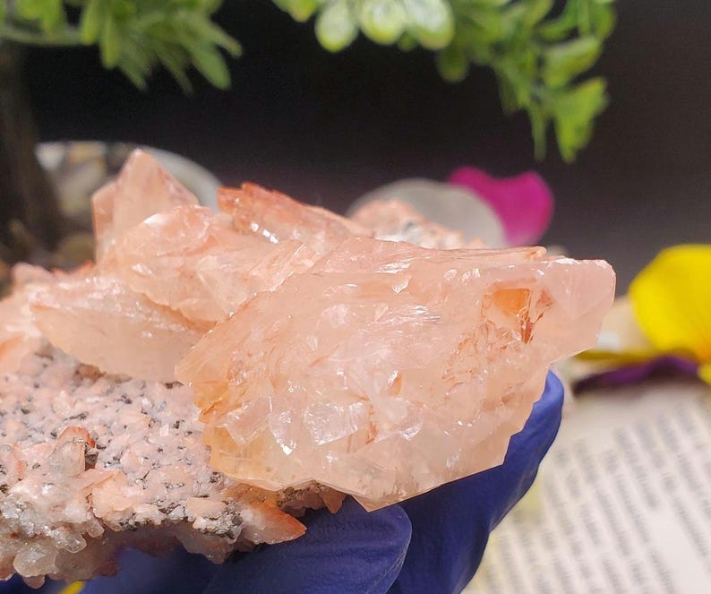 K&ouml;nnte beinhalten: Ein Cluster aus rosa und orangefarbenen Selenitkristallen mit einer rauen, nat&uuml;rlichen Textur. Die Kristalle sind durchscheinend und haben ein zartes, geschichtetes Aussehen.