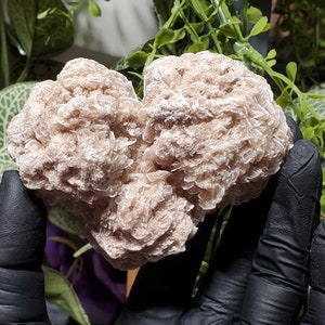 Desert Rose Selenite Cluster, Gypsum selenite 210g