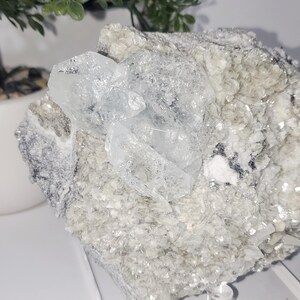 May include: A cluster of clear, crystalline aquamarine gemstones on a matrix of light gray and white minerals. The aquamarine crystals are translucent and faceted, with a subtle blue hue. The matrix has a rough, textured surface.