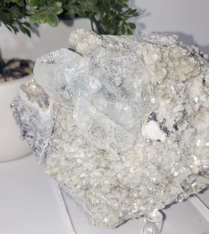 May include: A cluster of clear, crystalline aquamarine gemstones on a matrix of light gray and white minerals. The aquamarine crystals are translucent and faceted, with a subtle blue hue. The matrix has a rough, textured surface.