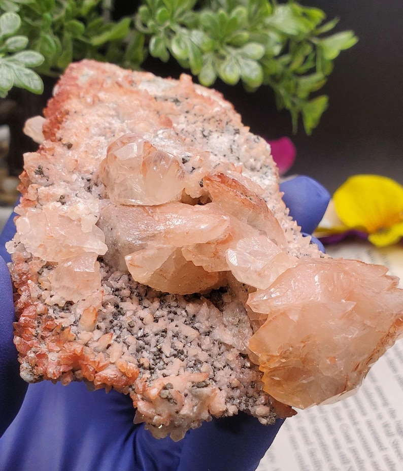 K&ouml;nnte beinhalten: Ein Cluster aus rosa Calcitkristallen auf einer Matrix aus grauem und braunem Gestein. Die Kristalle sind durchscheinend und haben einen leichten Orangestich.