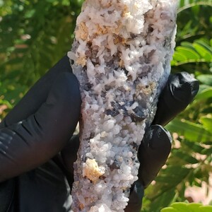 May include: A cluster of white crystals with a gray and gold mineral matrix. The crystals are small and have a pointed shape. The matrix is rough and textured.