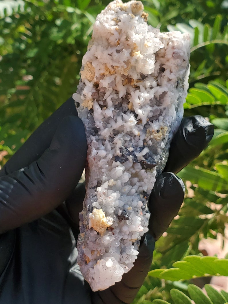 May include: A cluster of white crystals with a gray and gold mineral matrix. The crystals are small and have a pointed shape. The matrix is rough and textured.