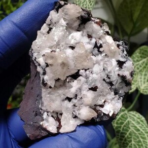 Unique Black Rice Calcite Specimen on Goethite – 98g