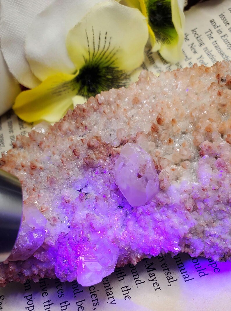 K&ouml;nnte beinhalten: Ein Cluster aus rosa und wei&szlig;en Kristallen mit einem violetten Leuchten unter UV-Licht. Die Kristalle sind in einer nat&uuml;rlichen Formation angeordnet und haben eine raue, strukturierte Oberfl&auml;che.