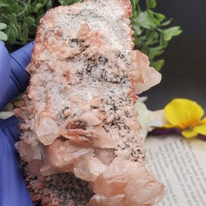 K&ouml;nnte beinhalten: Ein Cluster aus rosa und wei&szlig;en Calcitkristallen mit einer rauen, grauen und braunen Matrix. Die Kristalle sind durchscheinend und haben einen leicht schillernden Glanz.