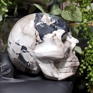 Volcano agate skull 626g (1lb 6oz)