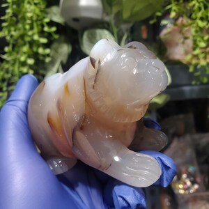 May include: A carved stone bear figurine in shades of white, tan, and brown. The bear is in a seated position with its paws extended. The stone has a polished, glossy finish. The background is blurred with green foliage.