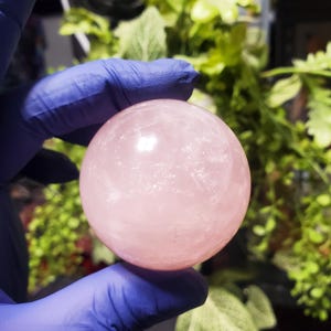 Könnte beinhalten: Eine transparente, rosafarbene Rosenquarz-Kugel. Die polierte Kristallkugel wird von einer behandschuhten Hand gehalten, mit grünem Laub im Hintergrund. Die Kugel ist hellrosa und wirkt glatt.