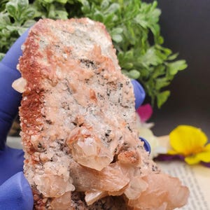 K&ouml;nnte beinhalten: Ein Cluster aus rosa und wei&szlig;en Calcitkristallen auf einer Matrix aus dunkelgrauem und rotem Gestein. Die Kristalle sind durchscheinend und haben einen glasartigen Glanz.