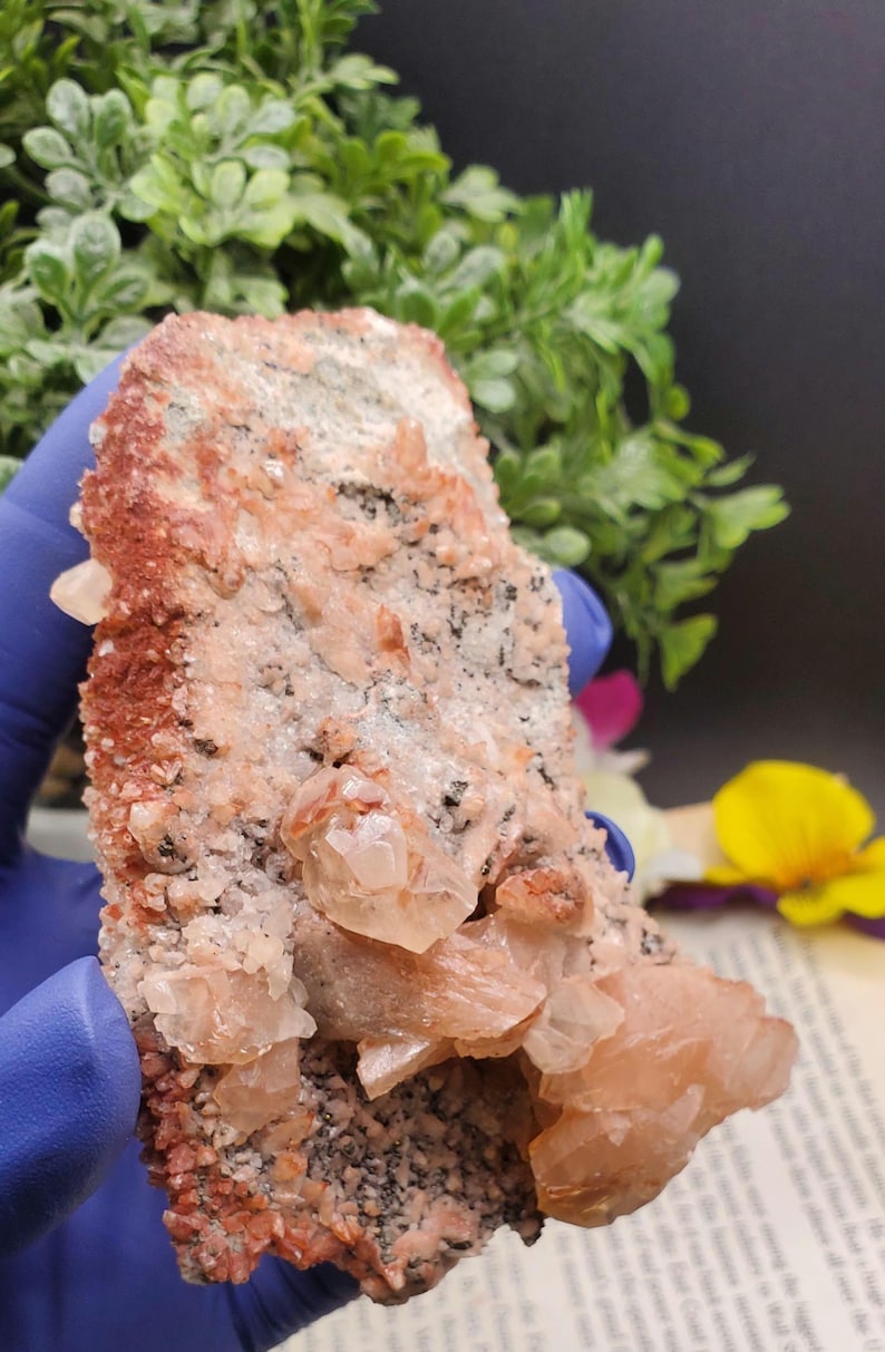 K&ouml;nnte beinhalten: Ein Cluster aus rosa und wei&szlig;en Calcitkristallen auf einer Matrix aus dunkelgrauem und rotem Gestein. Die Kristalle sind durchscheinend und haben einen glasartigen Glanz.