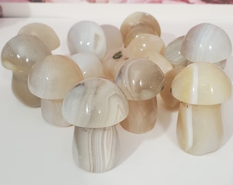 2pc Agate Mushroom Healing crystal carvings 1.5" x1"