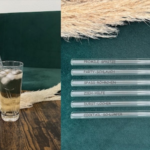HALM Glasstrohhalme 'Prost Edition' – 20 Stück, Graviert, 20cm, Spülmaschinenfest