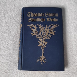 Schoolteacher Gift Antique Book of 1910s in German &quot;Theodor Storms Sämmtliche Werke&quot;, classic storybook, Antiquarian German Books, gift idea