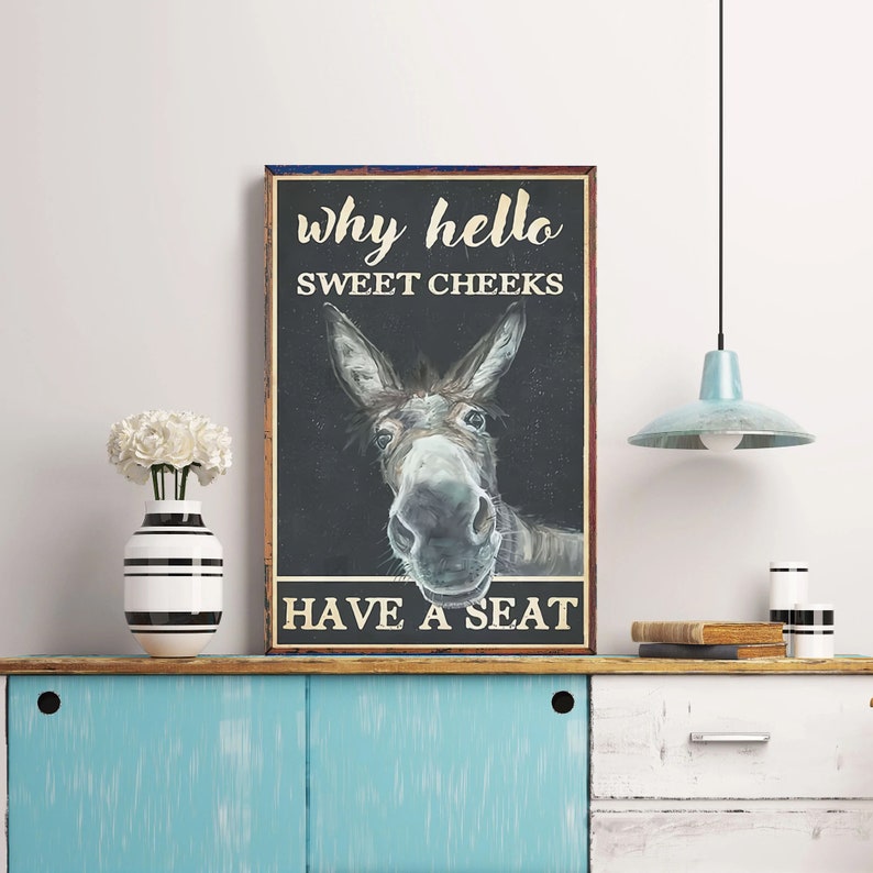 Donkey Why Hello Sweets Cheeks Have A Seat Poster, Retro Donkey