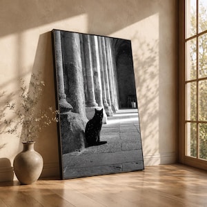 Puede incluir: Impresión enmarcada en blanco y negro de un gato negro sentado en un corredor de piedra con grandes columnas. El gato está en primer plano, con el corredor retrocediendo hacia el fondo. La impresión está apoyada contra una pared.
