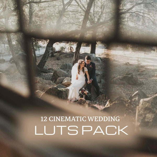 Wedding LUTs Color Grading, Cinematic LUTs, After Effects, Premiere Pro, Da Vinci, Final Cut Pro Mobile & Desktop | Video and Photo Edit