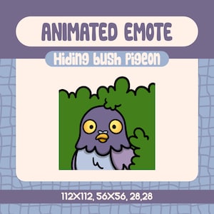 Animierte versteckte Buschtaube Emote für Streamer, Kawaii schüchterne Taube Twitch Emotes, lustige Reaktionen für Twitch, Discord und mehr