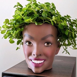 Pode incluir: Um vaso de planta com formato de rosto sorridente feito de cerâmica marrom com uma planta verde de folhas crescendo no topo da cabeça.