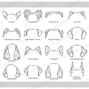 May include: Black and white line art illustrations of dog ears, including breeds like Chihuahua, Chinese Crested, and Great Dane. Each breed is labeled below its corresponding ear design.