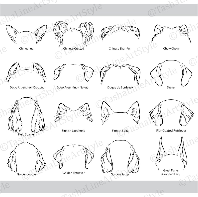 May include: Black and white line art illustrations of dog ears, including breeds like Chihuahua, Chinese Crested, and Great Dane. Each breed is labeled below its corresponding ear design.