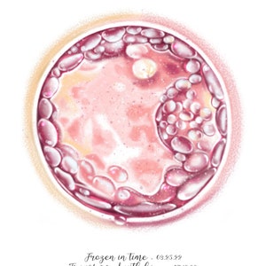 Embryo Art Custom IVF Painting, Personalized Pregnancy Gift, Nursery ...