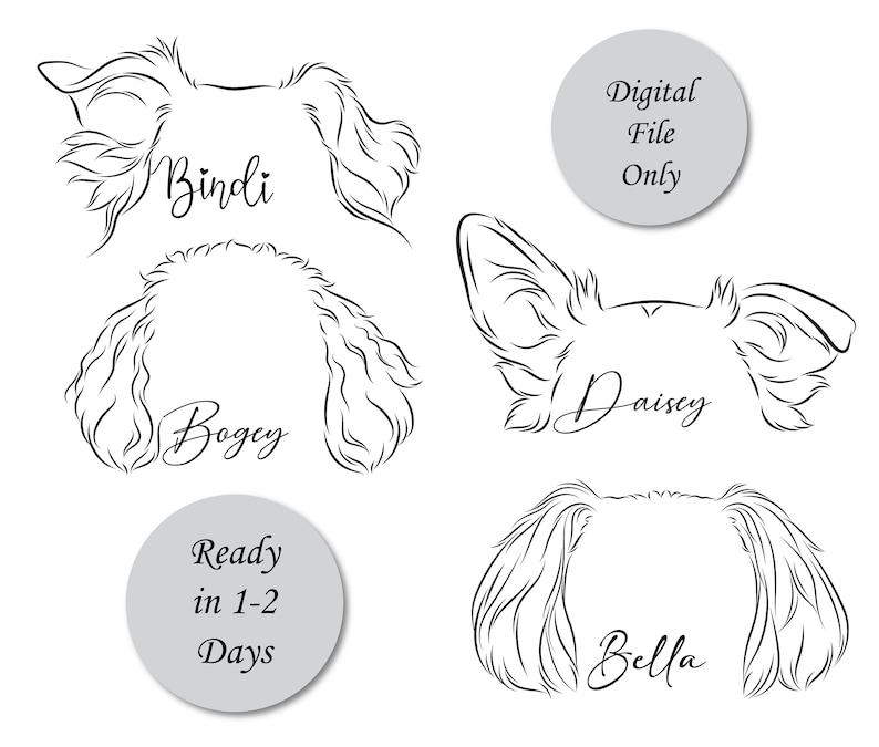 Puede incluir: Cuatro dibujos en blanco y negro de cabezas de perro con sus nombres escritos debajo. Los nombres son Bindi, Bogey, Daisy y Bella. El texto "Archivo digital solamente" y "Listo en 1-2 d&iacute;as" tambi&eacute;n est&aacute; incluido en la imagen.
