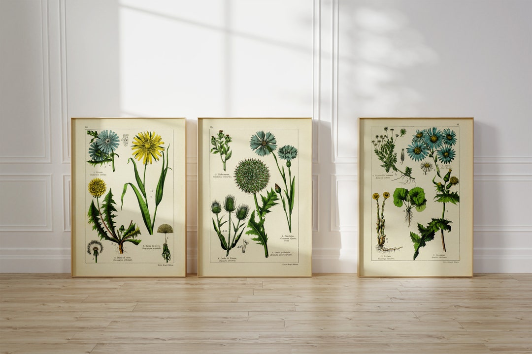 Botanical Gallery Wall ART Downloadable Art DIGITAL ART Etsy