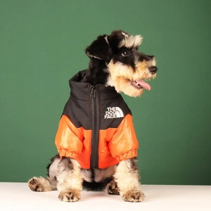 The Dog Face Pet Puffer Jacket - Warm, Weatherproof Coat for All Dogs (Multiple Sizes and Colors)