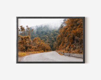 May include: A framed landscape photograph featuring a winding asphalt road leading into a dense forest. The trees display vibrant orange and brown autumn foliage, while a thick layer of white fog hangs over the distant mountain slopes.