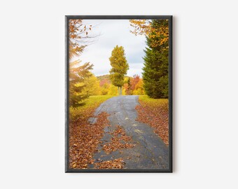 May include: A framed vertical wall art print depicting an asphalt road covered in fallen brown and orange autumn leaves. The scene features vibrant yellow and green trees under a cloudy sky, with sunlight filtering through the foliage on the left.