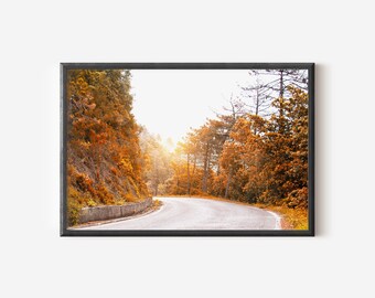 May include: A framed landscape photograph featuring a winding asphalt road flanked by dense trees with vibrant orange and yellow autumn foliage. The scene is illuminated by a soft, golden sunlight filtering through the branches in the distance.
