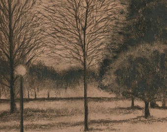Winter night in Tower Grove Park, Serene Landscape Fine Art Prints, Framed Decor, Nature Wall Art, Gift for Art Lovers, Home & Office Decor