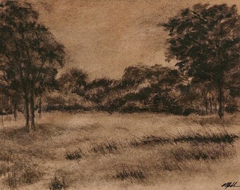 An Opening in Tower Grove Park art print download