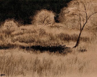 Autumn Trees in Forest Park art print download
