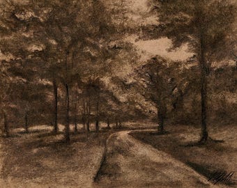 A Pathway in Tower Grove Park After Rain art print download