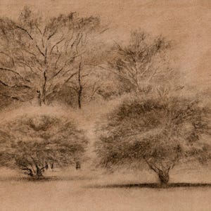 Winter in Tower Grove Park - Digitaler Kunstdruck