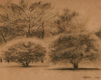 Winter in Tower Grove Park - Digital Art Print