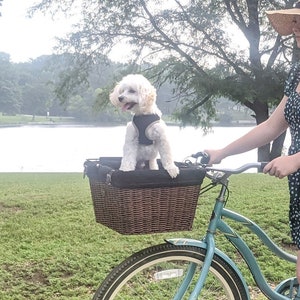 Bike Basket for Pet  | Pet Basket for Bike | Small Pet | Wicker Basket | Pet Bike Basket | Basket for Bike women | Woman Bike Front Basket