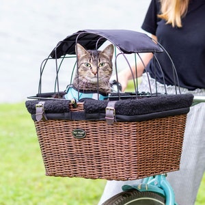 Cat basket footwear outlet