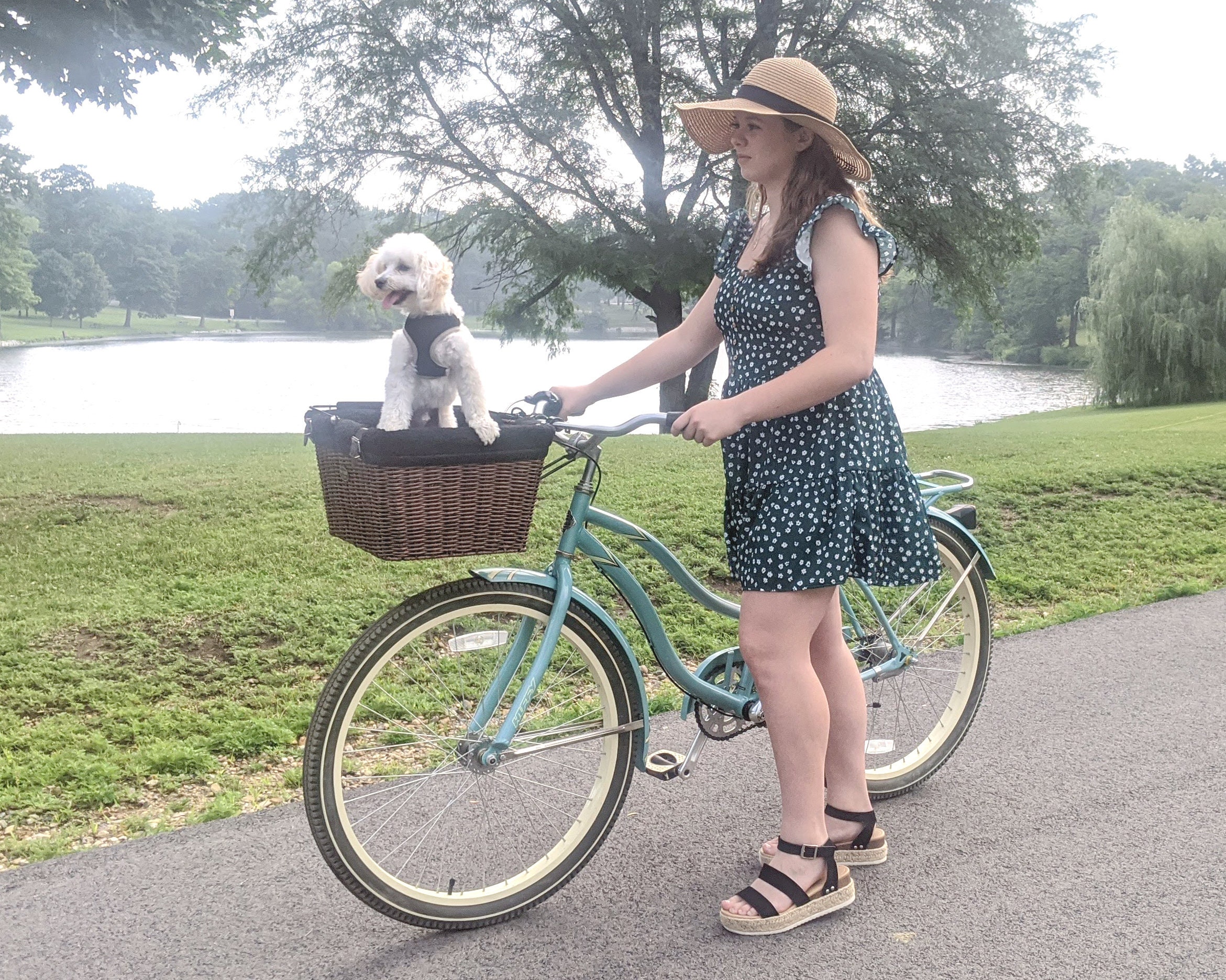 ANZOME Bike Basket, Folding Small Pet Cat Dog Carrier Front