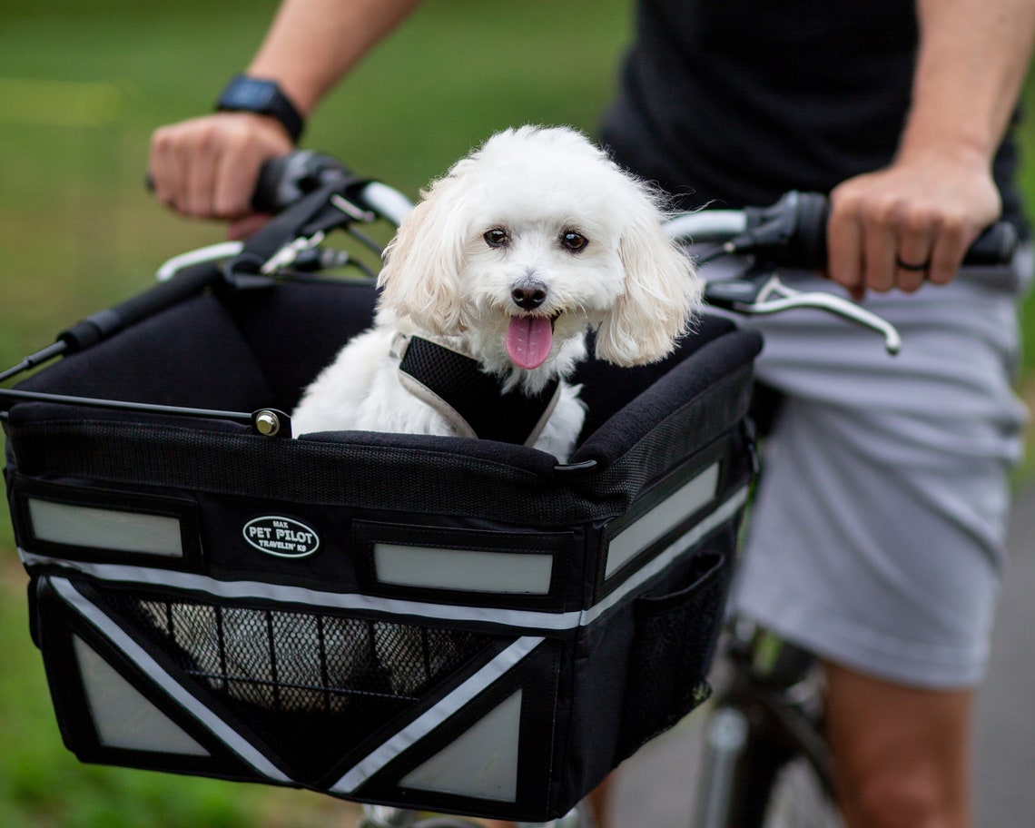 Carrier for Bicycle Pet Basket for Bike Pet Transporter Etsy