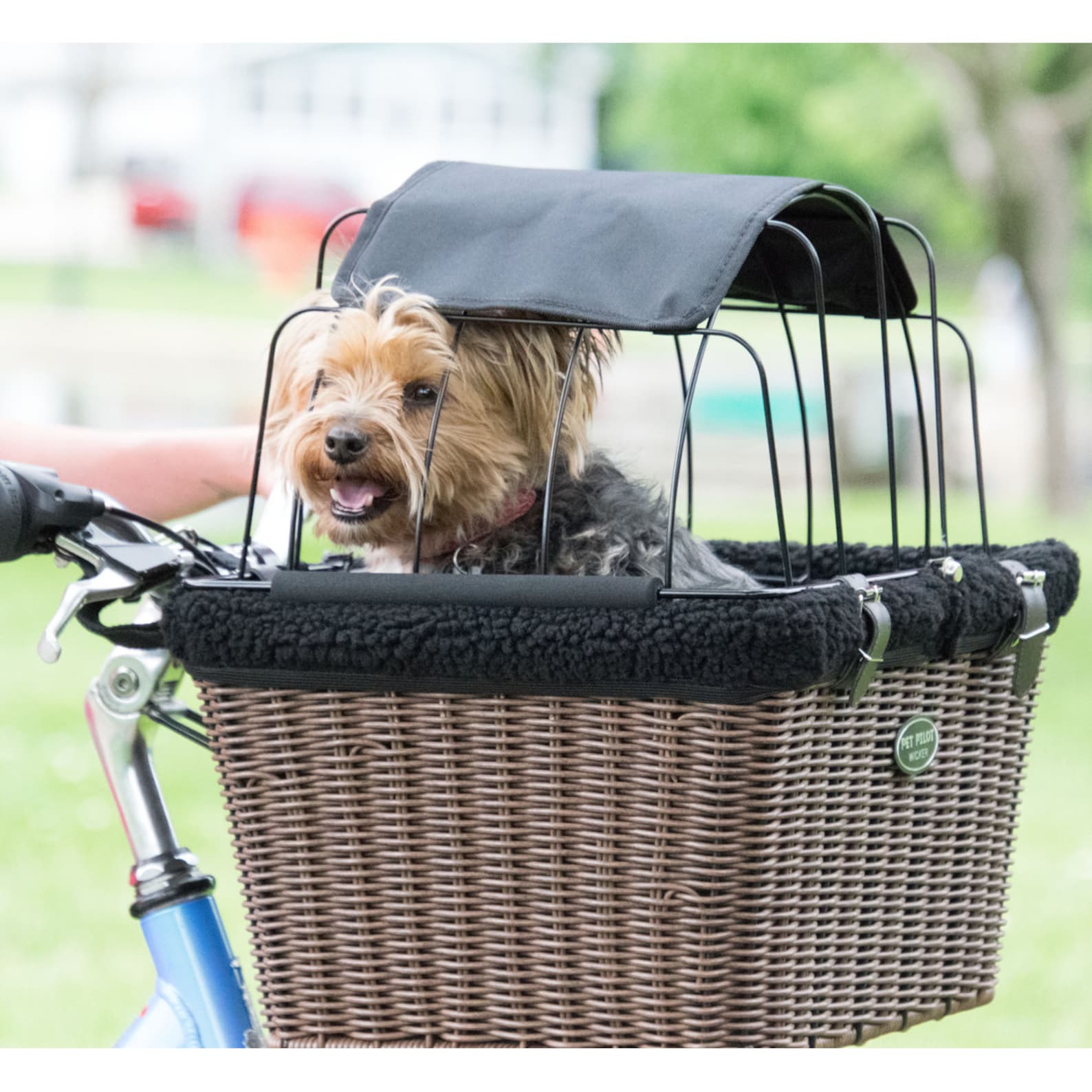 Wicker Cat Basket for Bicycle Front Bike Basket for Cat Cat Carrier for
